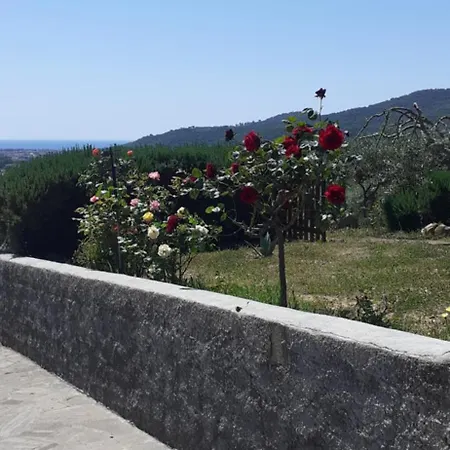 Bellavista Prile *